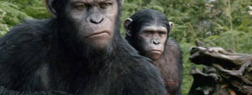 Caesar prepares for battle. Dawn of the Planet of the Apes.