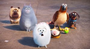 Gidget, Chloe and friends. The Secret Life of Pets