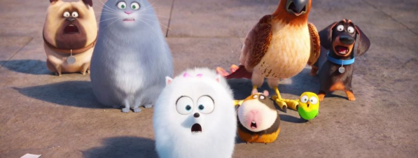 Gidget, Chloe and friends. The Secret Life of Pets