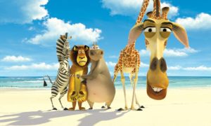 Marty, Alex, Gloria and Marty land on Madagascar.